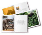 Brochure on top 10 greatest experiences in Africa